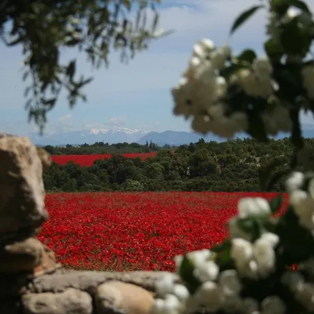 La Bergerie In An Estate With Swimming Pool In The Heart Of The Luberon